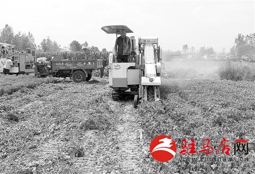 guols14089.jpg