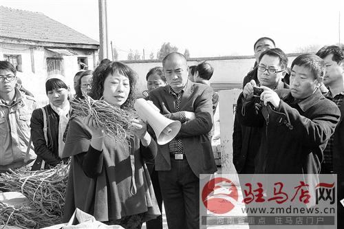 guols1411188.jpg