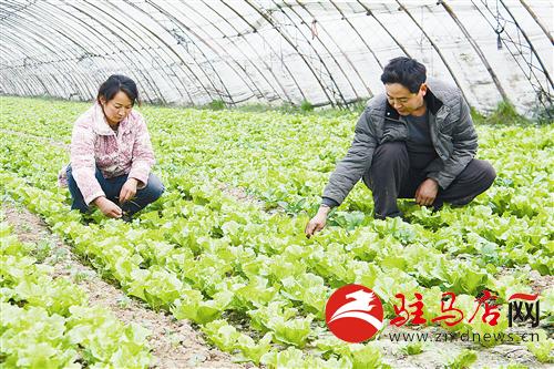 zhangz1411139.jpg