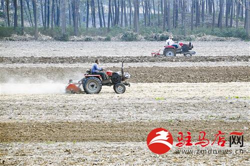 guols1410123.jpg