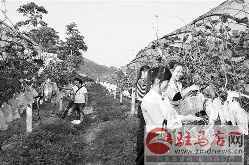 guols141014.jpg