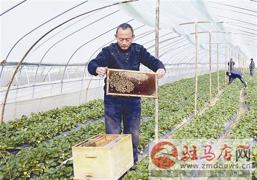 zhangz1412183.jpg