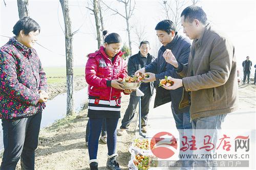 zhangz1412184.jpg