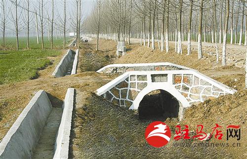 zhangz1412351.jpg