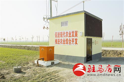 zhangz1412355.jpg