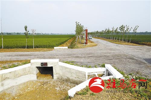zhangz1412352.jpg