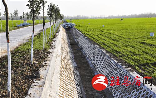 zhangz1412354.jpg