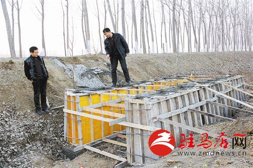 zhangz1412358.jpg