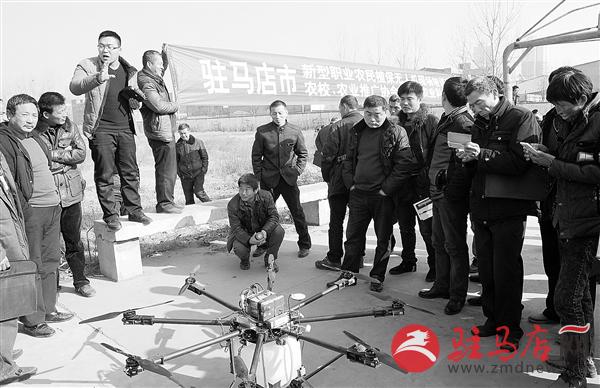 guols1501134.jpg