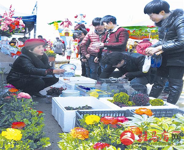 guols1502210.jpg