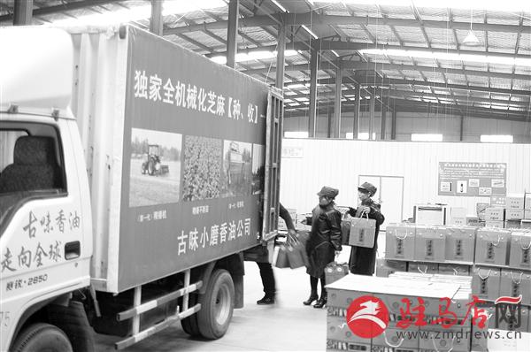 zhangz150333.jpg