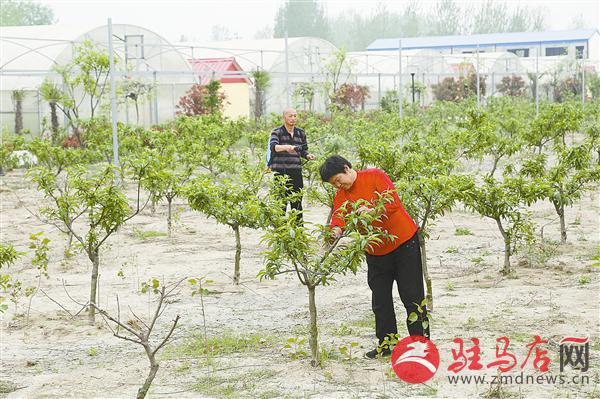 zhangz1504313.jpg
