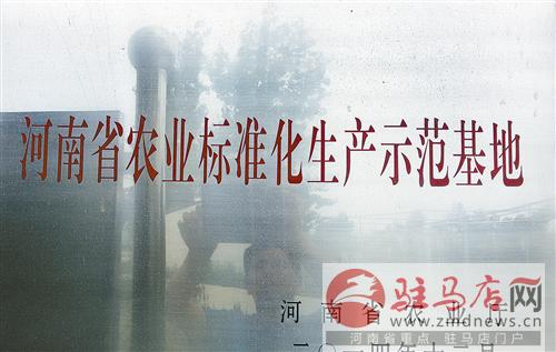 wub1507219.jpg