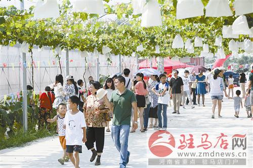 wub1507259.jpg
