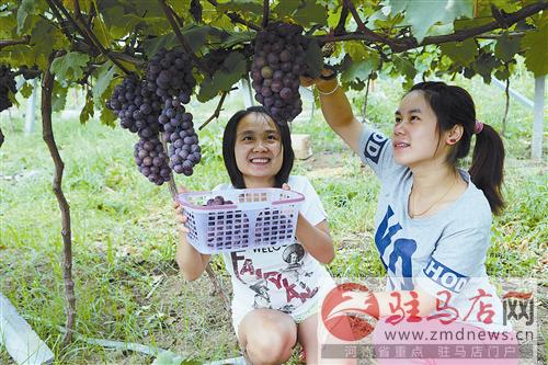 guols1508155.jpg