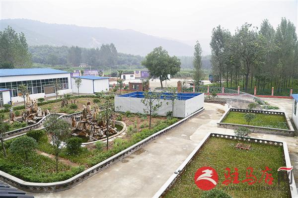 guols1508368.jpg