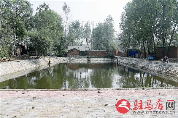 guols1509564.jpg