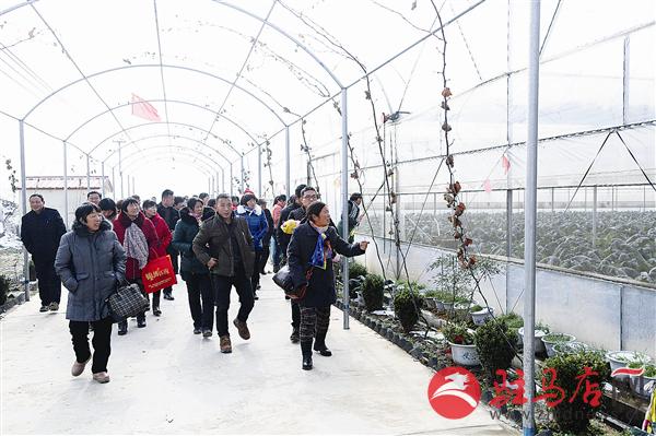 guols1511406.jpg