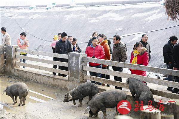 guols1511404.jpg