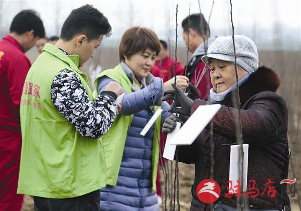 guols1603144.jpg