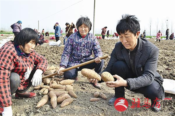 guols1603273.jpg
