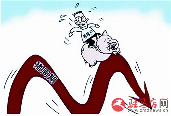 yangf160414.jpg