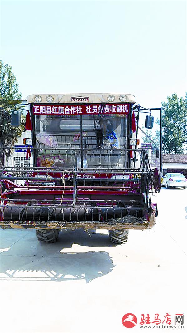 yaohf17067.jpg
