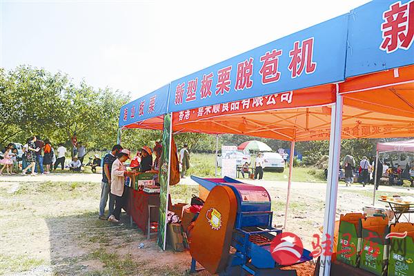 wub1709512.jpg