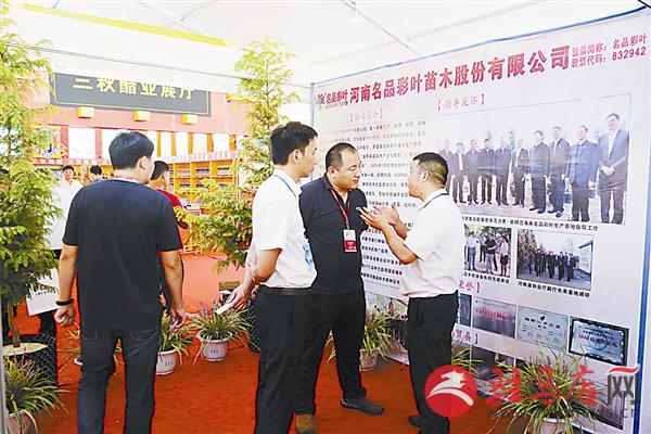 wub1709510.jpg