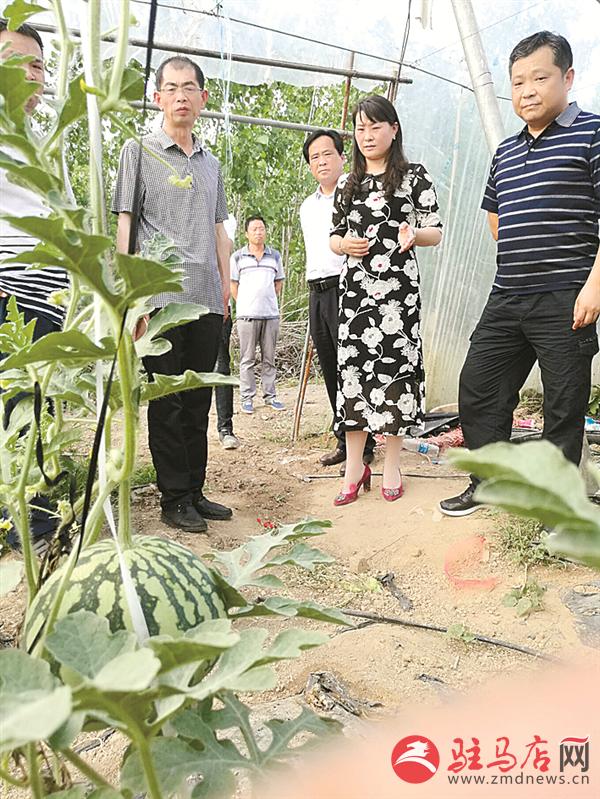 wangzh180552.jpg