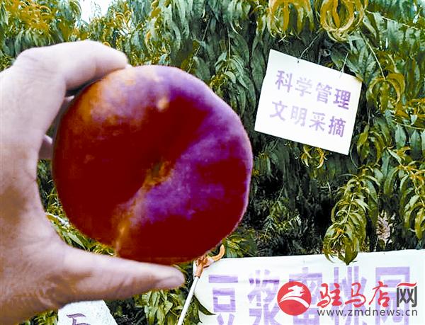 wangzh180640.jpg
