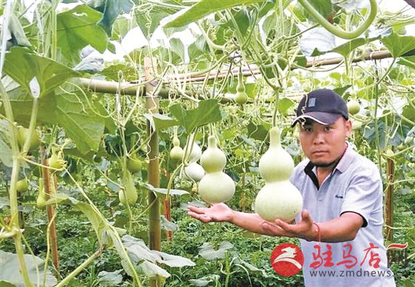 wangzh180851.jpg