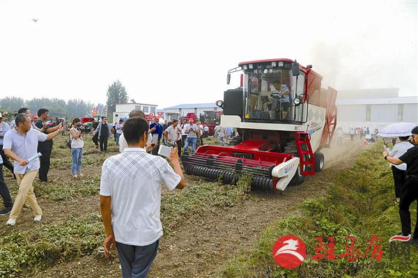 guols1808486.jpg