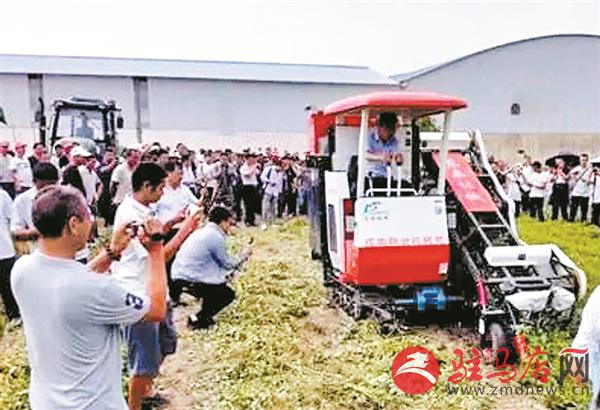 wangzh180915.jpg