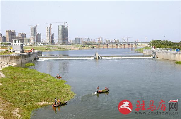 guols1809321.jpg