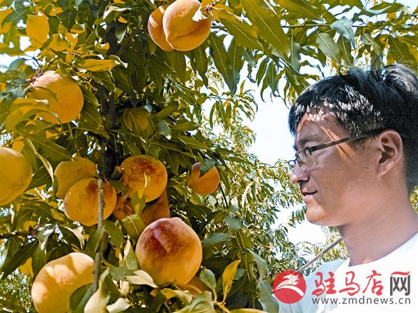zhaol180988.jpg