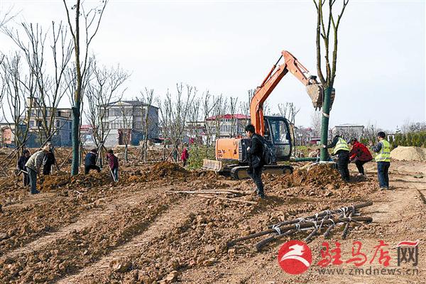 guols1903181.jpg