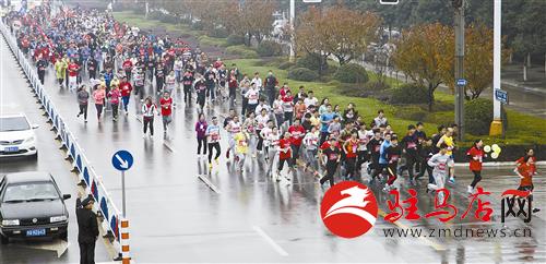 guols1411193.jpg