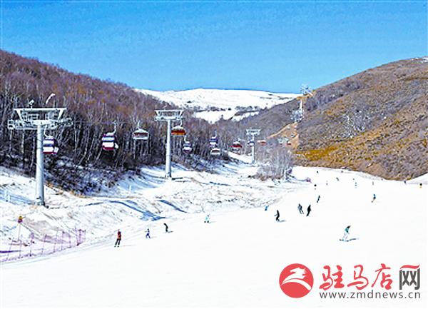 daih150353.jpg
