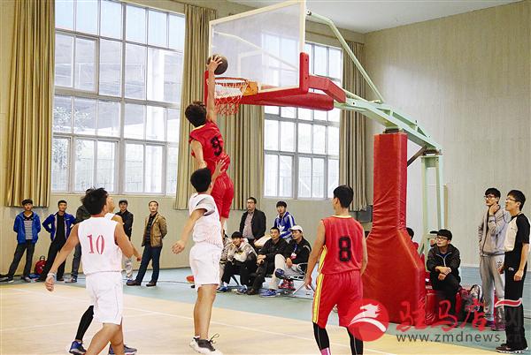 guols1511123.jpg