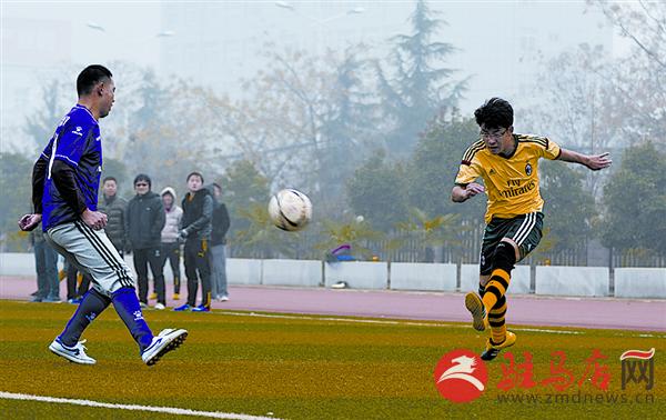 luf1511305.jpg
