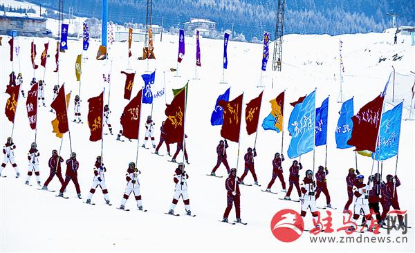 yangf160182.jpg