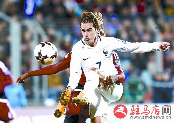 yangf170370.jpg