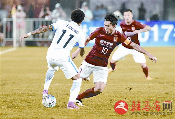 yangf170573.jpg
