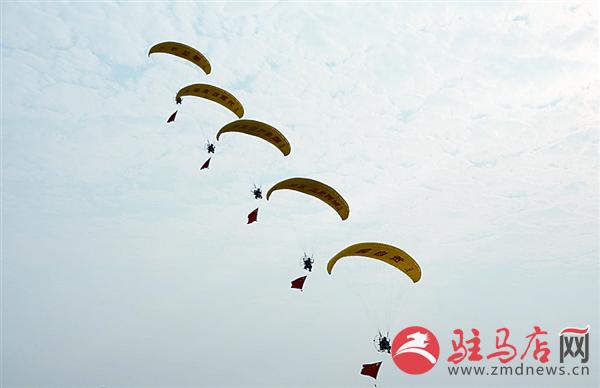 yangf1708105.jpg