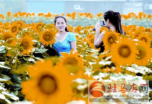 yuanm140625.jpg