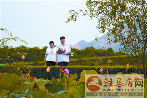 yuanm140630.jpg
