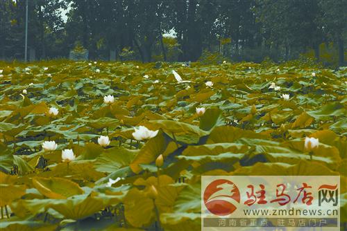 yuanm140633.jpg