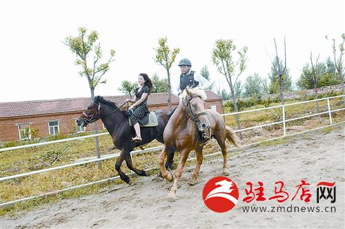 yinyy140720.jpg
