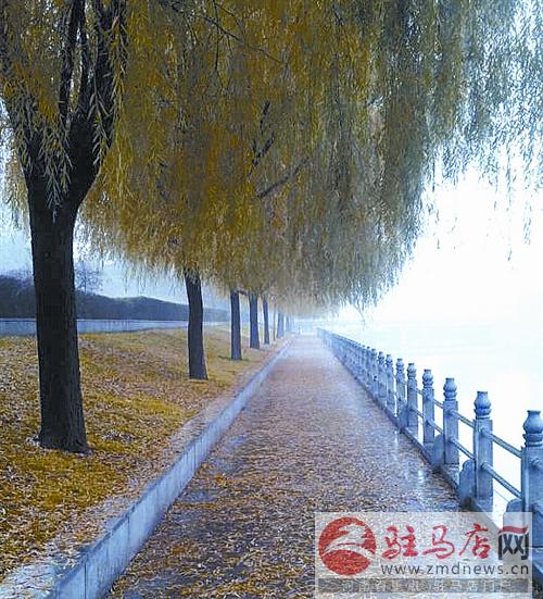 yuanm15017.jpg